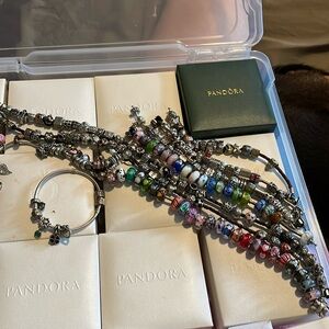 Pandora & Murano Charms